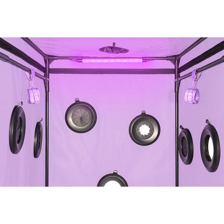 SECRET DOME - KINK CLUB CABINE SCANDALE PURPLE
