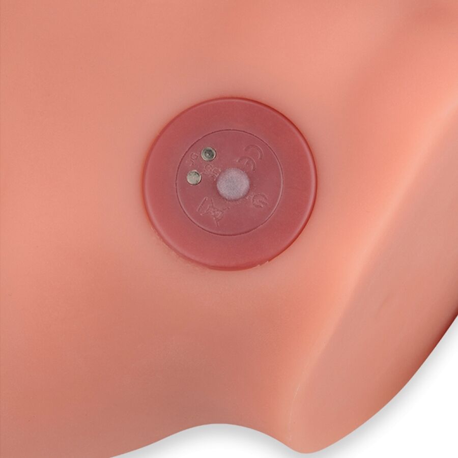 XISE - FREDERICO MASTURBATEUR GODE RÉALISTE POSITION FRONTALE AVEC POUSSÉE 15 CM