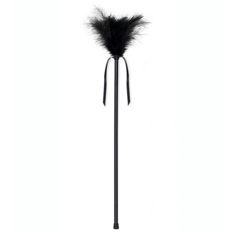 SECRETPLAY - PLUMES NOIRES 40 CM