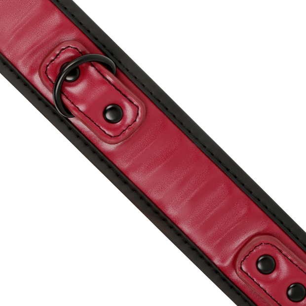 FETISH SUBMISSIVE DARK ROOM - COLLIER CHAÎNE DOUBLURE EN NÉOPRÈNE